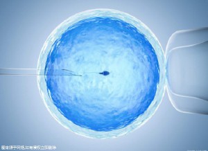 沪上生殖医学中心